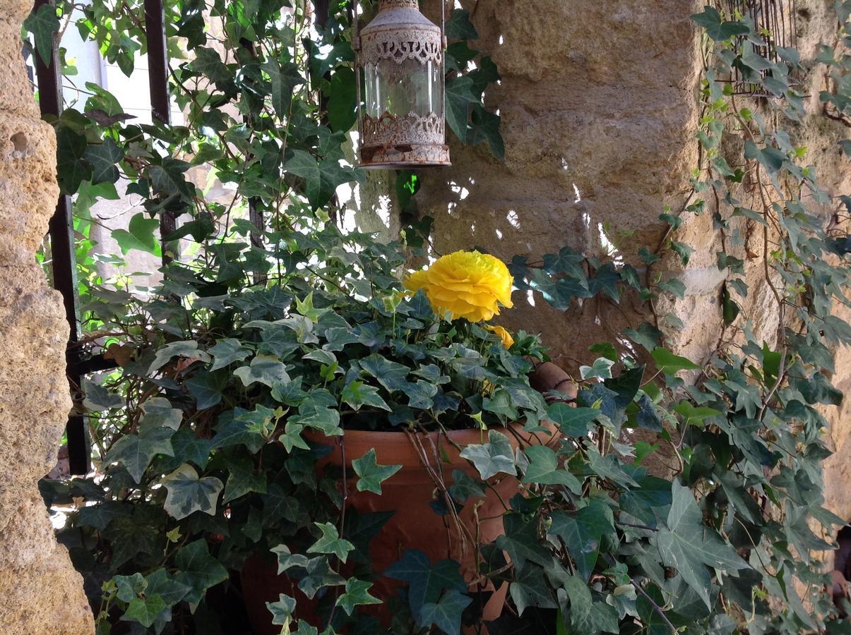 Un Patio En Luberon Bed & Breakfast Ansouis ภายนอก รูปภาพ